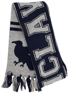 Harry Potter Reversible Scarf