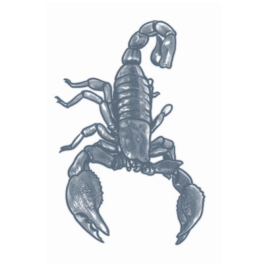 Tinsley Scorpion Prison Tattoo