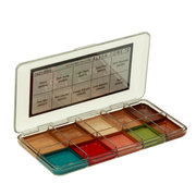 Skin FX Flesh Tone 2 Alcohol Palette