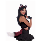 Fox Accessory Kit