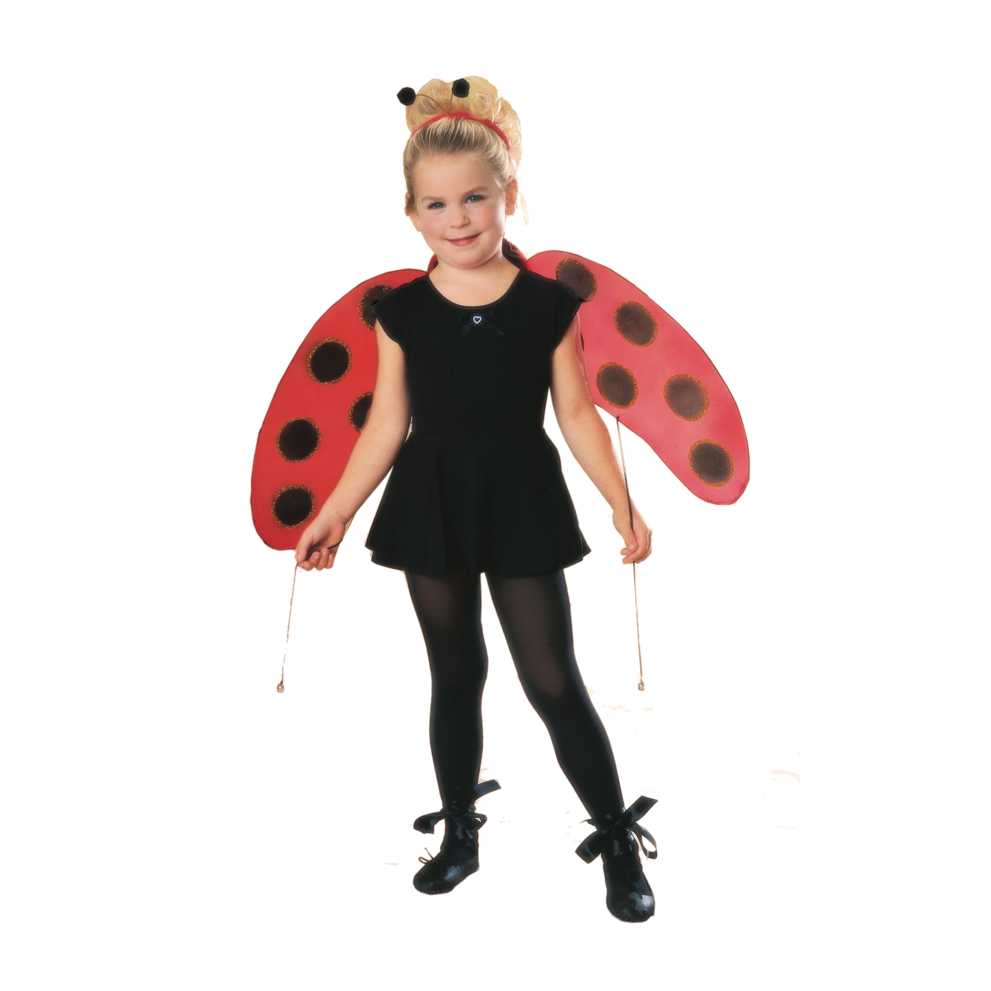 Child Lady Bug Accessory Kit