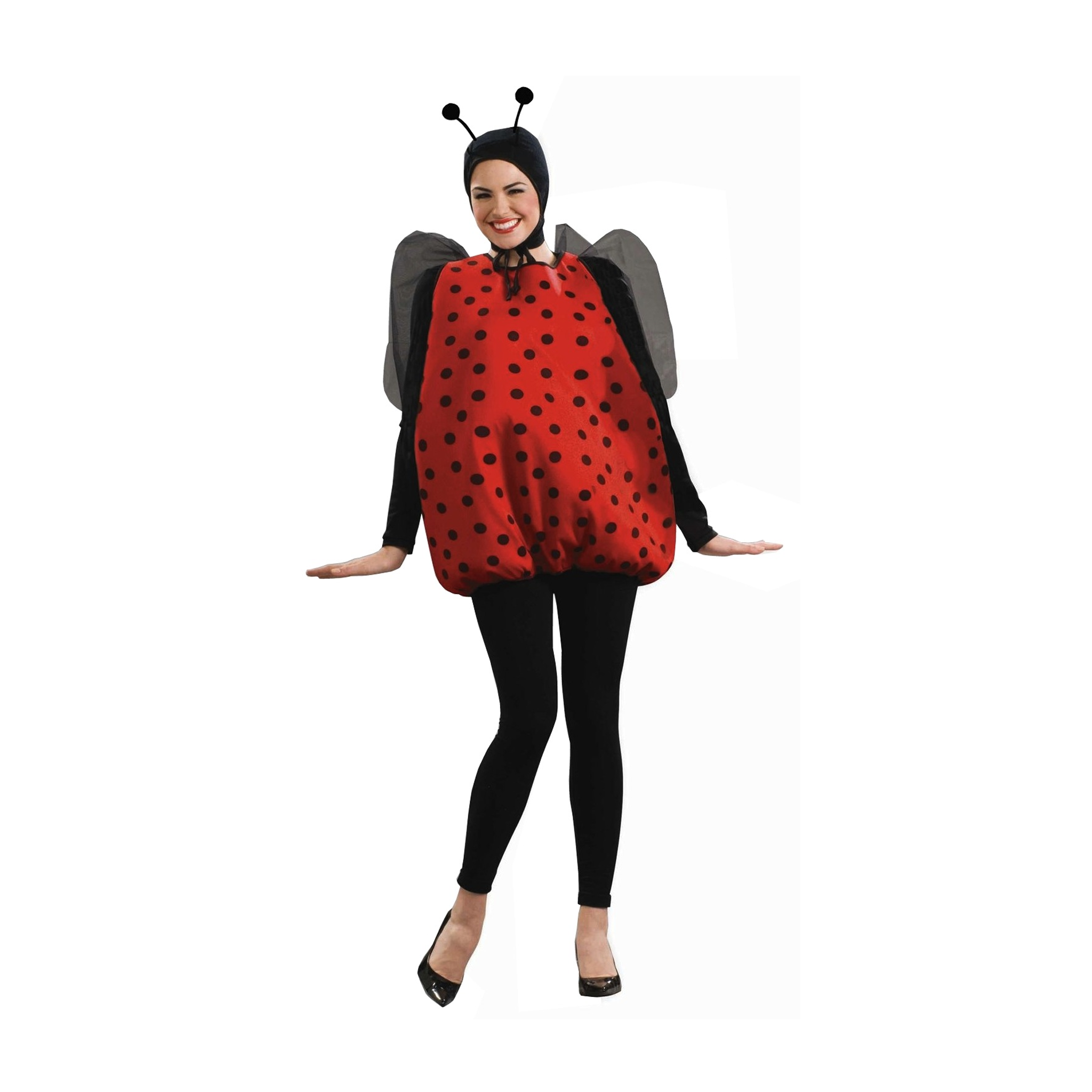 Lady Bug