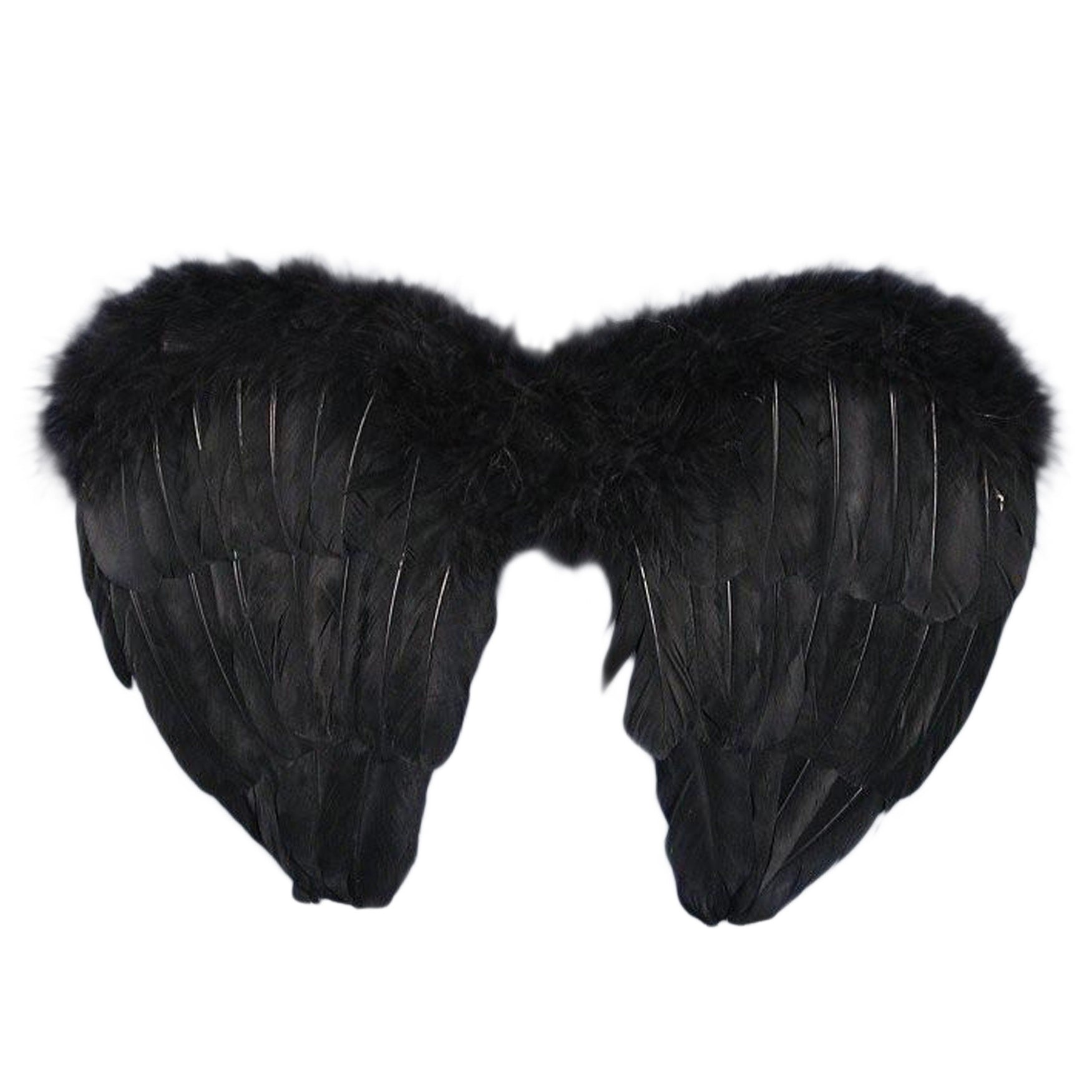 Mini Feather Wings