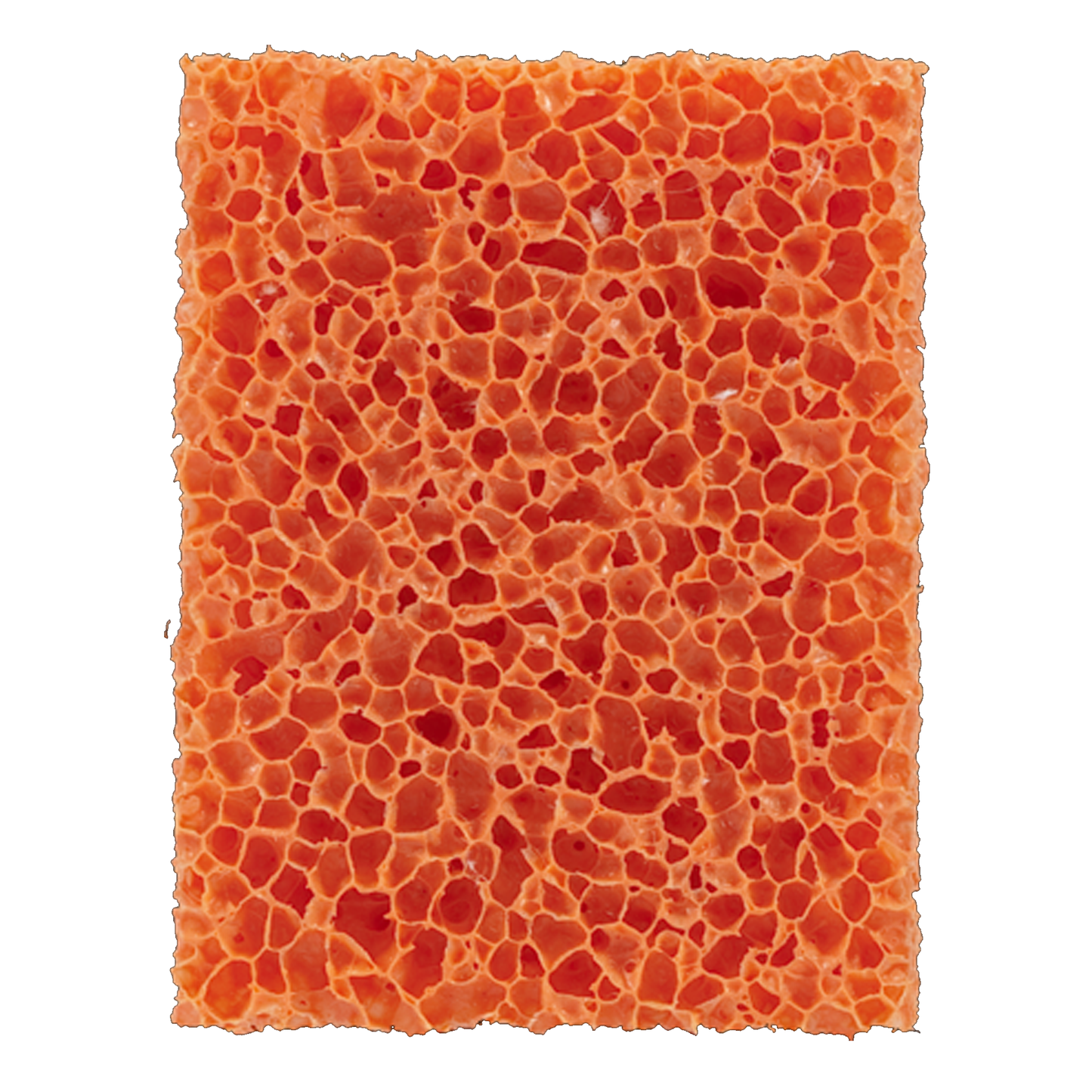 Orange Stipple Sponge