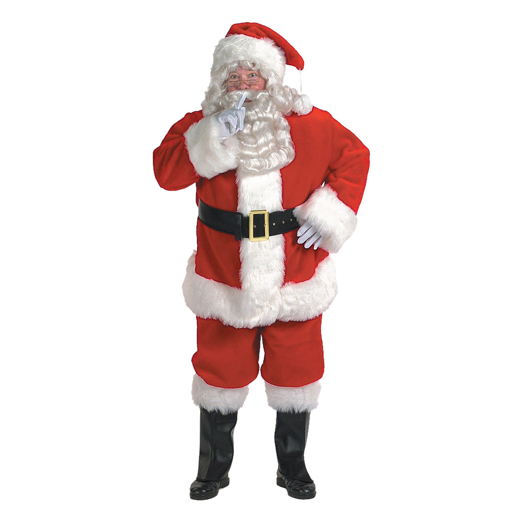 Professional Santa
