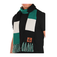 Load image into Gallery viewer, SLYTHERIN PATCH SCARF

