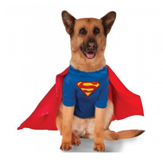 BIG DOG- SUPERMAN XXL