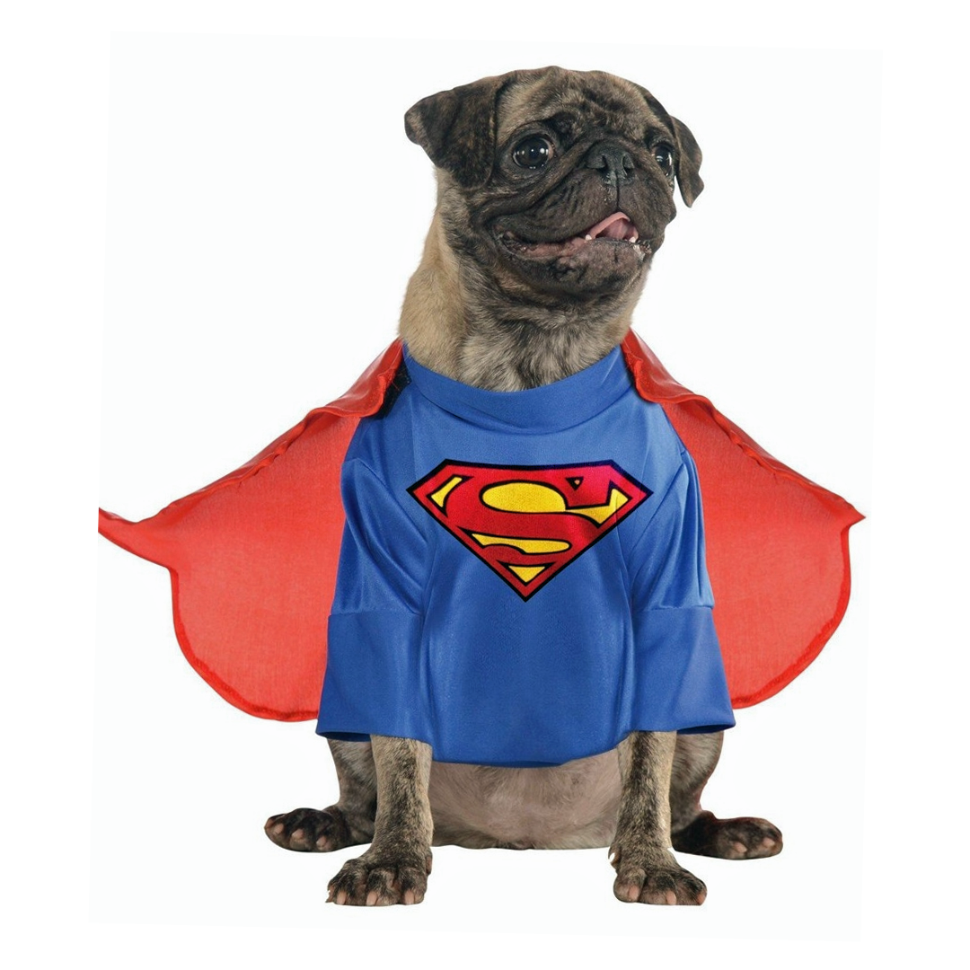 Pet Superman