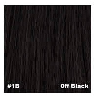 Shania Lace Front Wig